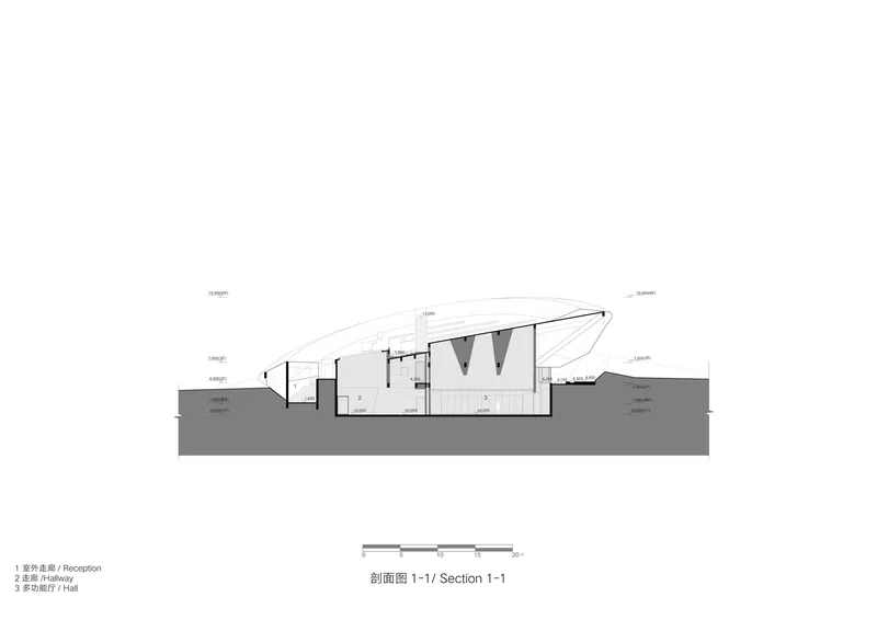 Section drawing showing the recessed lower level beneath the angled roof structure above grade