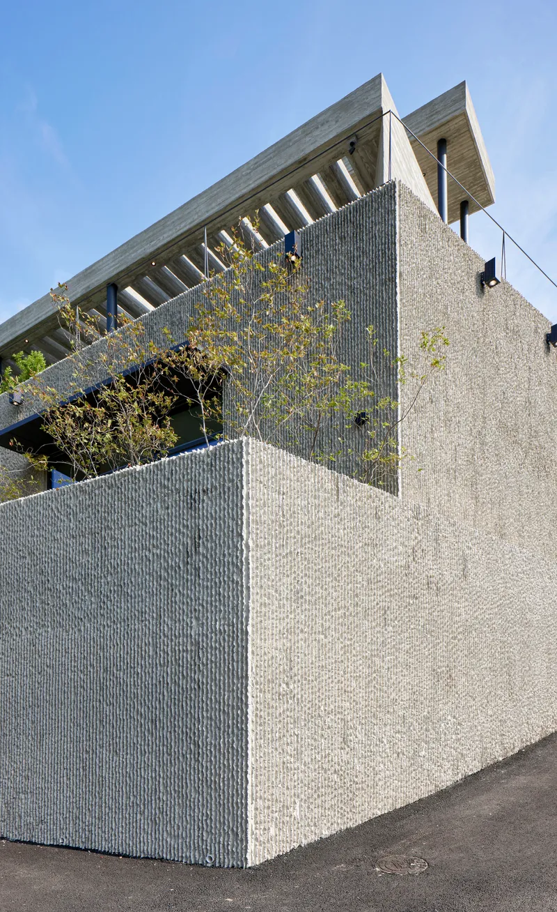 Corner detail of the textured concrete walls with exposed roof overhang and young tree