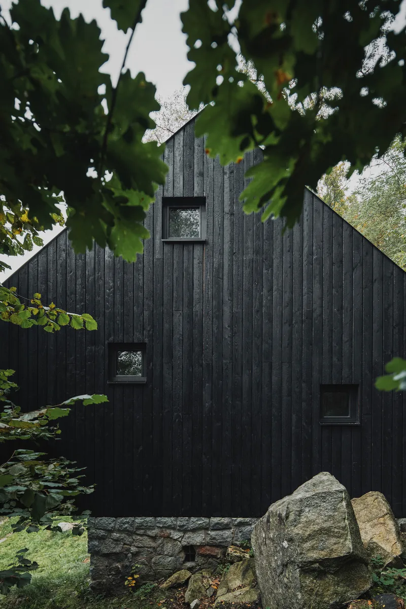 Charred timber facade with small square windows on a stone foundation beneath leafy branches