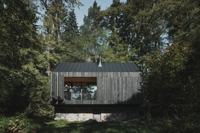 Elevated timber volume on concrete base with continuous horizontal window in dappled sunlight