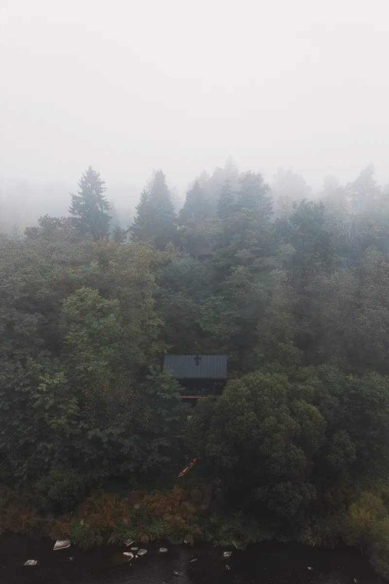 Distant view of the metal-roofed cabin nestled among evergreens in heavy morning fog
