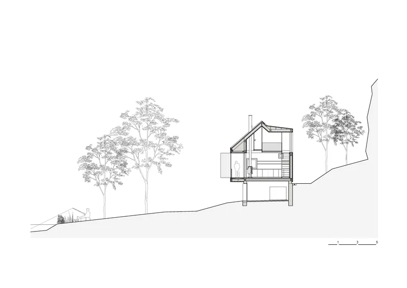 Section drawing showing a multi-level residence on a sloping site with adjacent trees
