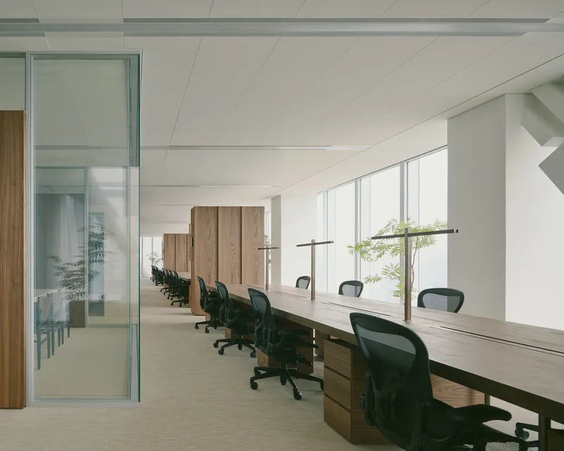 Row of timber desks along full-height windows with glazed partition and walnut storage units below