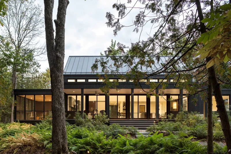 Glazed facade with clerestory windows beneath a metal roof framed by tall trees in autumn