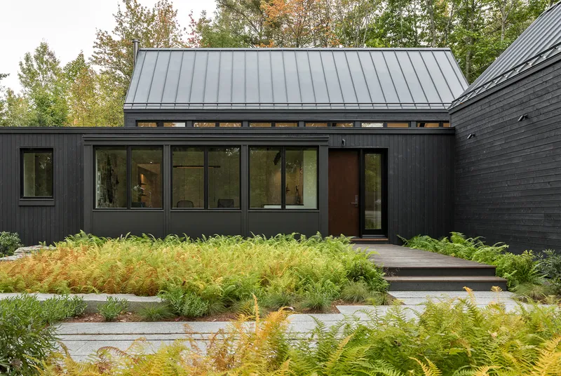 Entry elevation with charred timber cladding and stone pavers surrounded by ferns and ornamental grasses