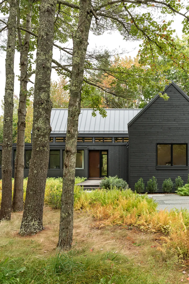 Dark wood-clad facade with standing seam metal roof viewed through a grove of tall trees in autumn