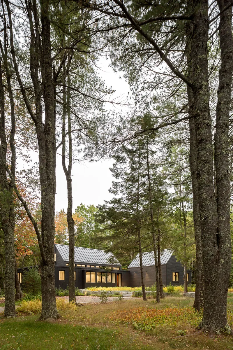 View through tall pines to the metal-roofed residence with vertical siding at dusk