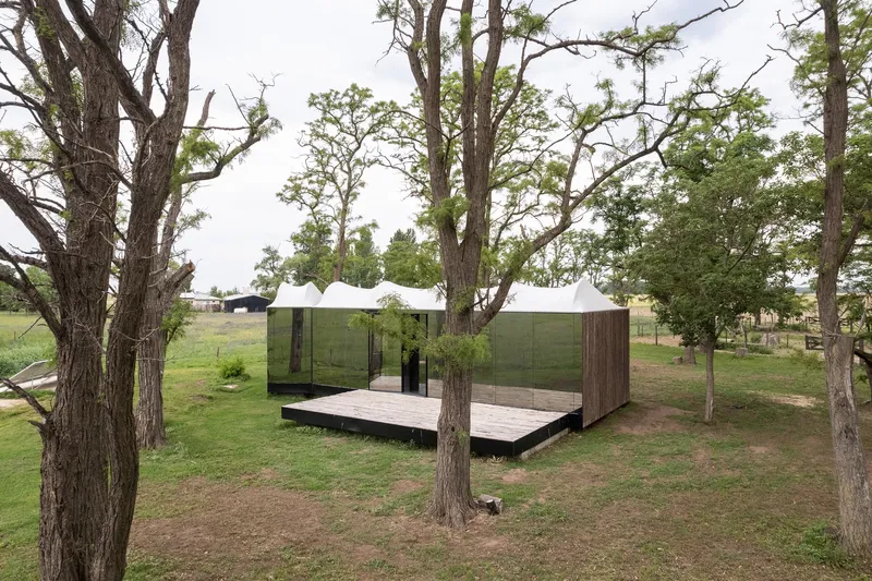 Glass and timber box with undulating white roof and timber deck among scattered trees