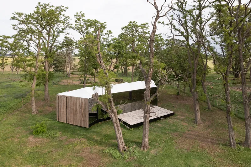 Aerial view of the timber-clad volumes with white roof among sparse trees in a grassy clearing