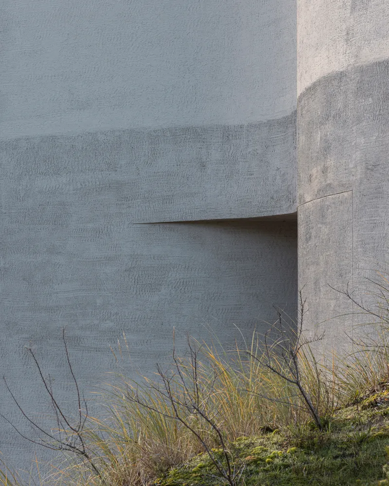 Close-up of the concrete facade showing formwork texture with native grasses at the base