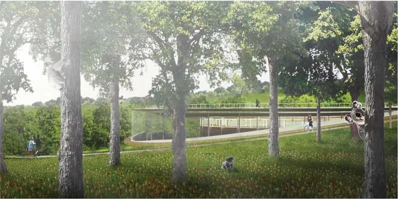 The sanctuary blends seamlessly into the forest, creating a peaceful habitat where humans and koalas coexist in harmony.