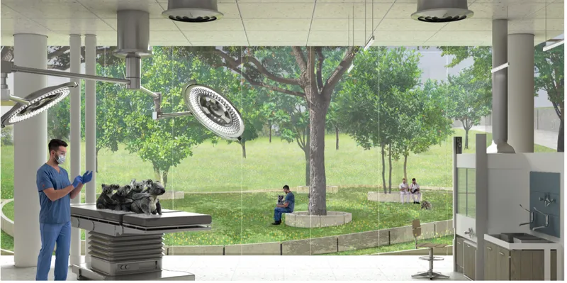 State-of-the-art rehabilitation and treatment facilities overlook natural habitats, connecting wildlife care with ecological awareness.