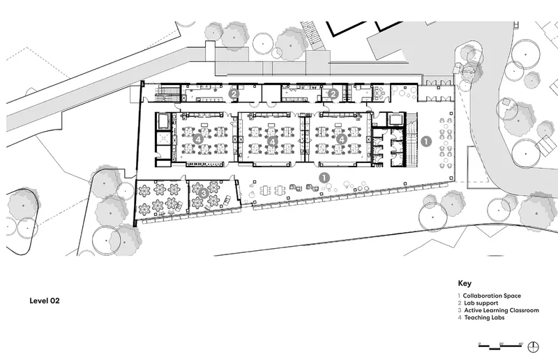 Floor plan drawing showing three parallel laboratory spaces with surrounding support rooms and outdoor terraces