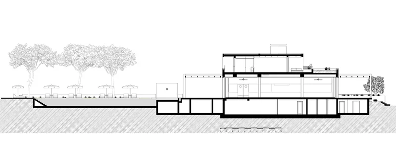 Section drawing showing split-level volumes with a row of trees along the sloped site
