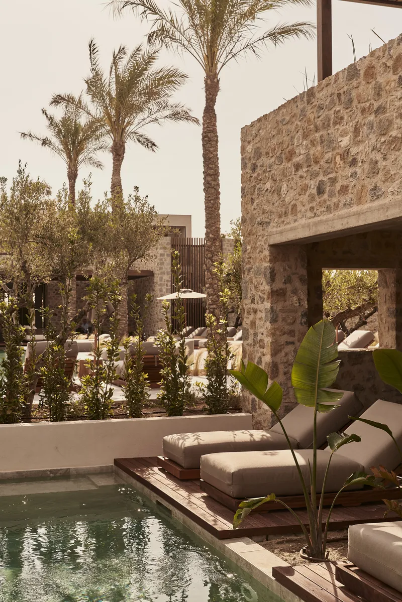 Courtyard pool with timber deck and planted beds framed by stone walls and date palms