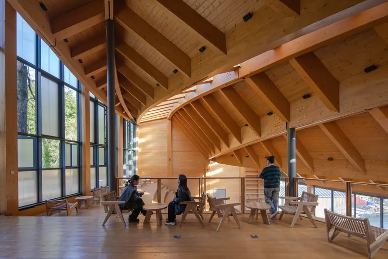 Mezzanine level with timber benches and glazed facade overlooking trees in afternoon light