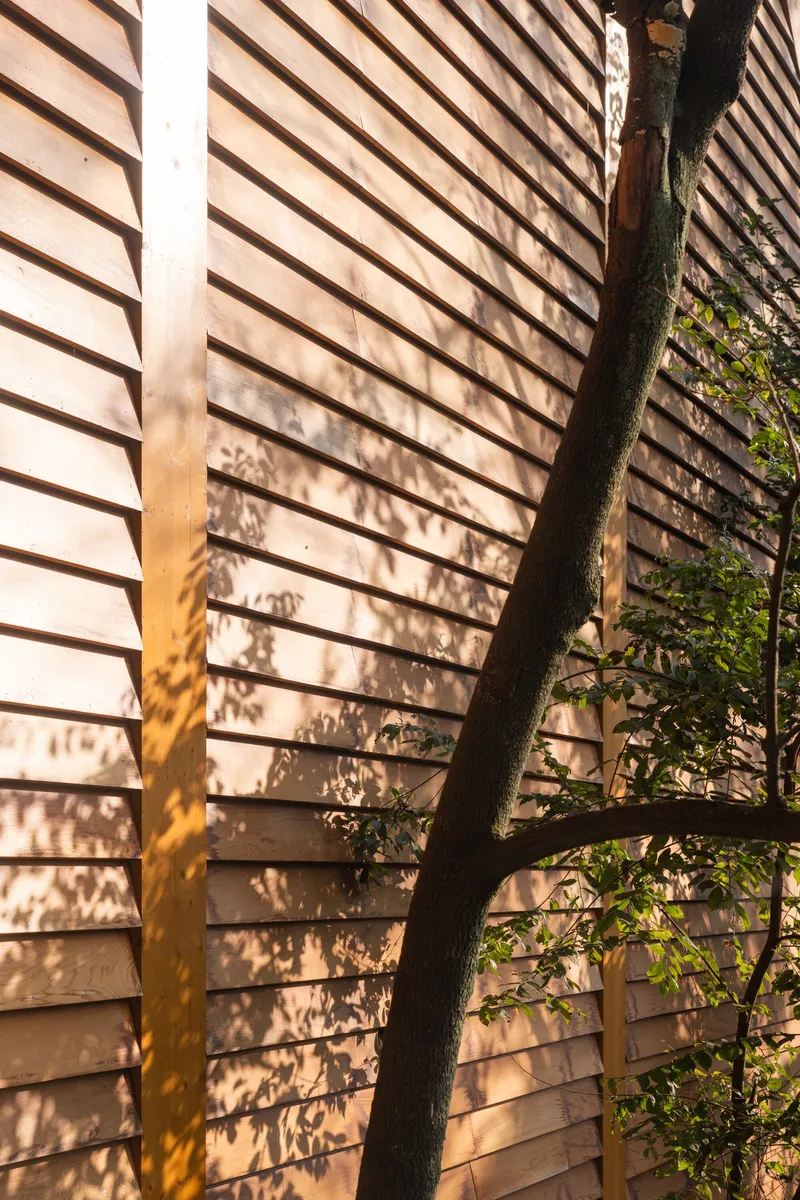 Horizontal wood siding with dappled tree shadows cast in afternoon sunlight