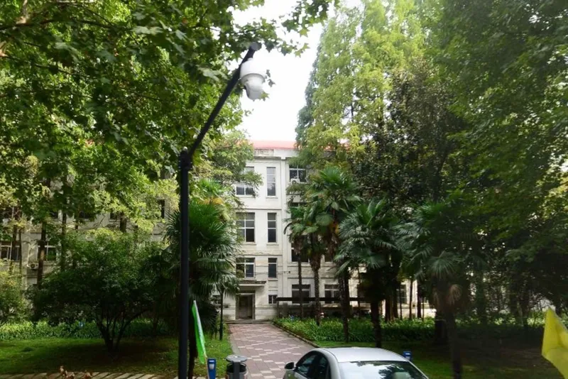 Tree-lined pathway leading to a white facade building glimpsed through dense foliage