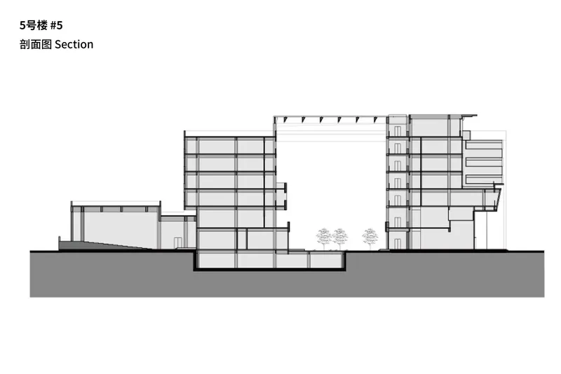 Section drawing cutting through courtyard showing multiple floor levels and trees at ground plane