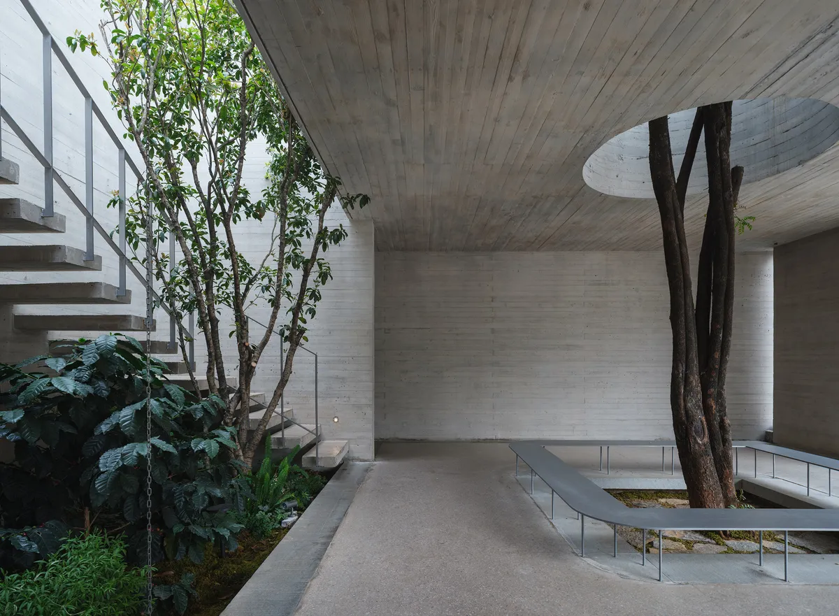 No10-Architects Folds Concrete Around Living Trees to Build a Sensory Coffee Lab in Yunnan