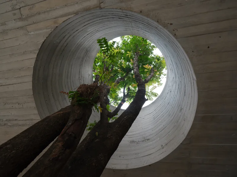 Looking up through circular board-formed concrete oculus framing tree branches against bright sky