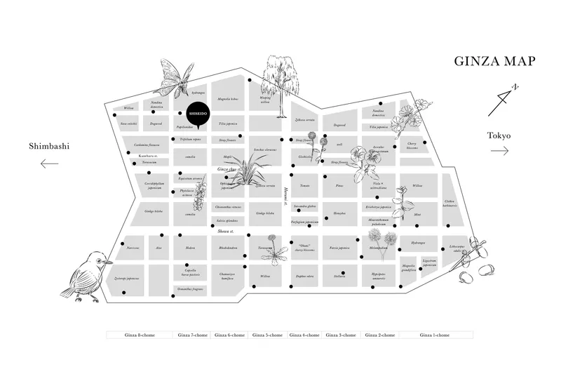 Site plan drawing showing a grid of blocks with illustrated plant species and directional labels