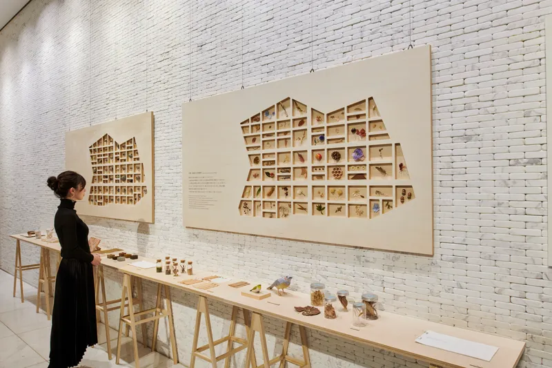Interior gallery wall with two house-shaped display cases holding samples above a timber trestle table