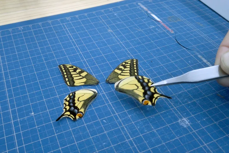 Two paper butterfly cutouts resting on a blue gridded cutting mat in a workshop