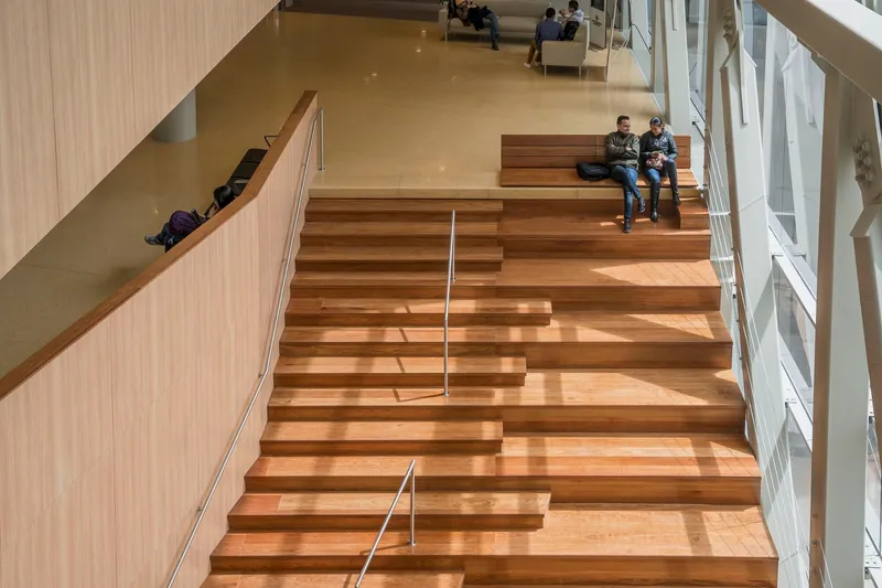 Wide timber staircase with stepped seating and people sitting in sunlight from the glazed facade
