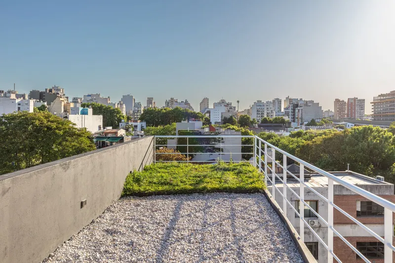 Rooftop terrace with gravel surface and planted green roof overlooking the tree-lined urban skyline