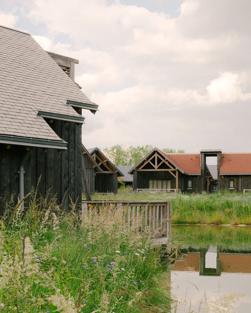 Cluster of timber and tile roof buildings around a reflecting pool edged by meadow grasses
