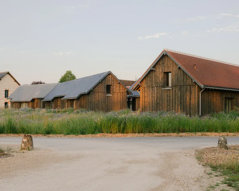 Cluster of gabled timber structures along a gravel road with flowering meadow in the foreground