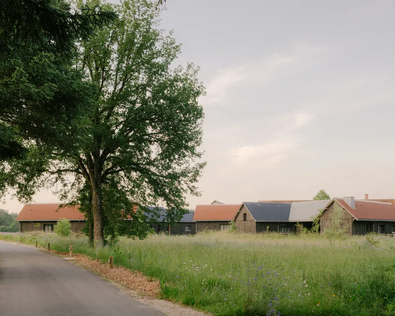 Row of gabled farm buildings along a country road framed by a large deciduous tree