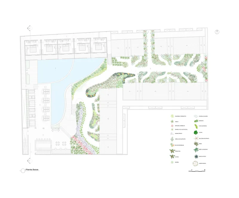 Planting plan drawing indicating landscape species distribution around pool and curved pathways