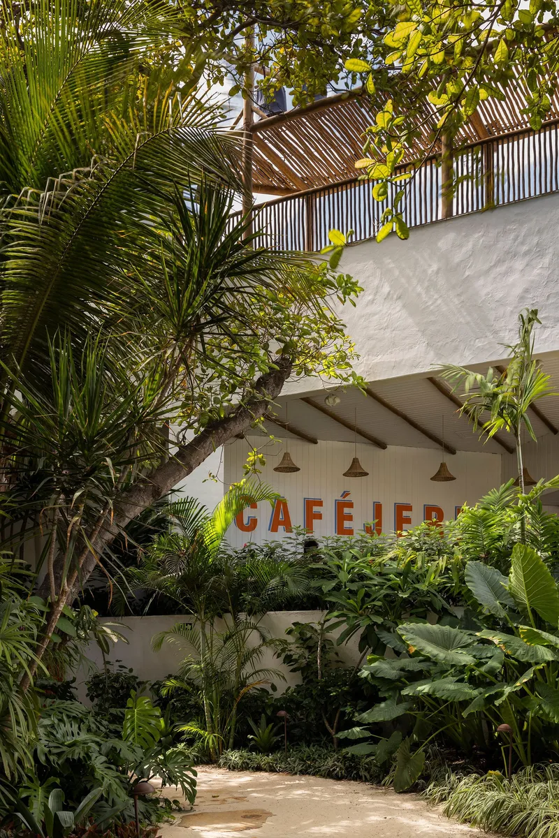 Garden path leading to a white stucco wall with signage surrounded by palms and tropical plantings