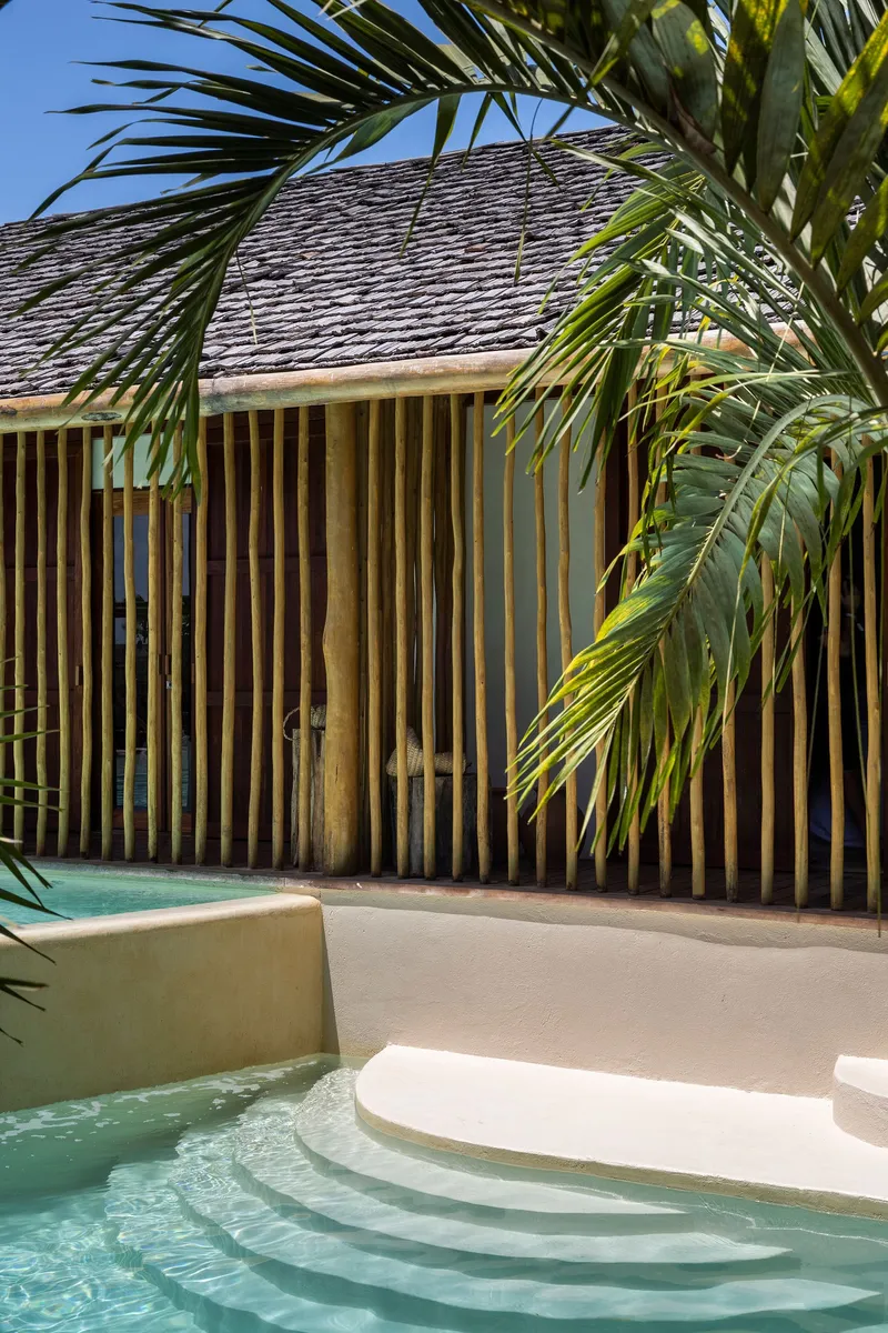 Curved pool steps and timber screen wall framed by palm fronds in dappled sunlight