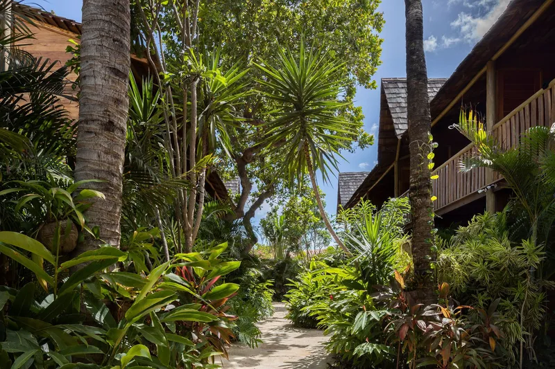Garden pathway between thatched roof buildings lined with palms and tropical plantings