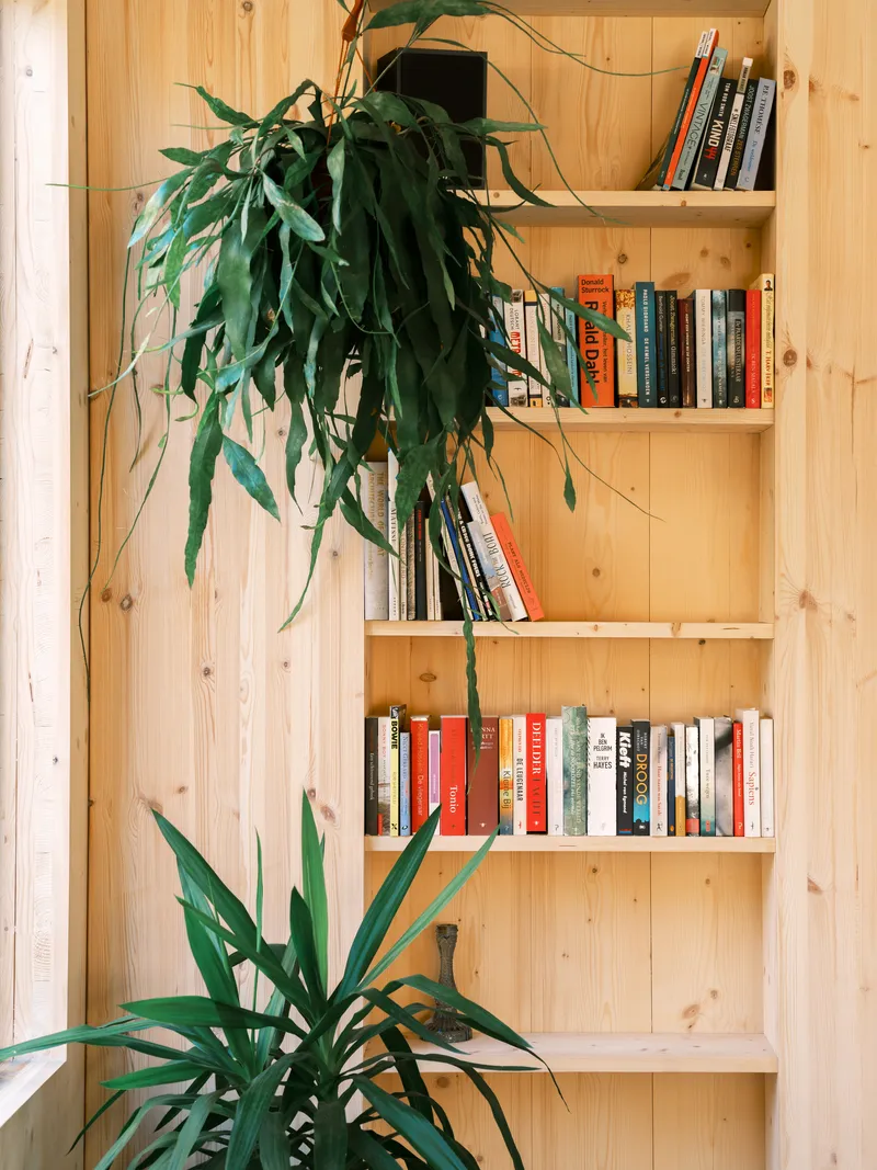 Built-in shelving unit with books and a cascading potted plant against pine wall panels