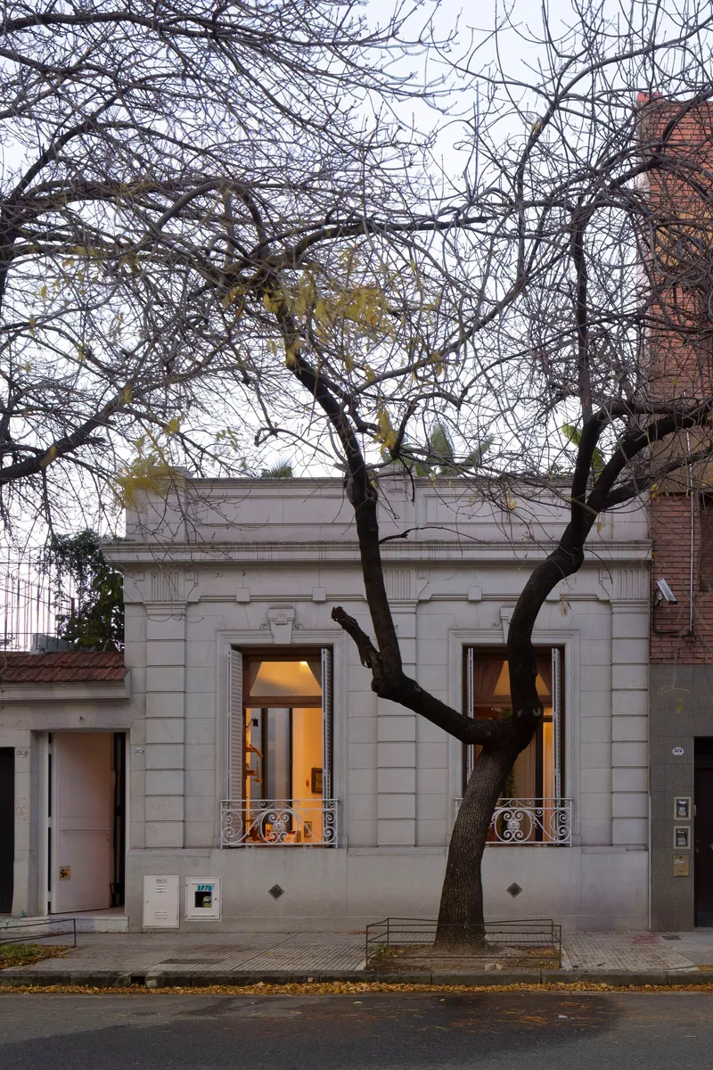 Street view of a pale stone facade with two tall windows lit from within and a bare tree in front
