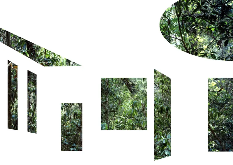 Elevation diagram with cutout shapes revealing dense tropical foliage behind the white surface