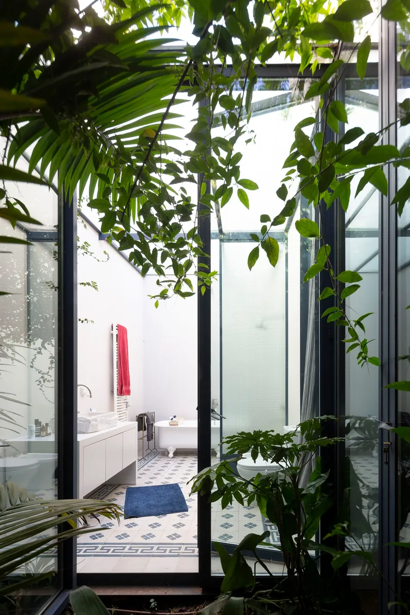 View through a glass door into a bathroom with hanging vines filtering dappled sunlight