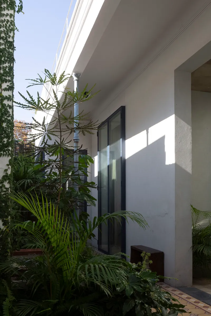 Exterior terrace planted with palms and tropical foliage beside a sliding glass door in afternoon sun