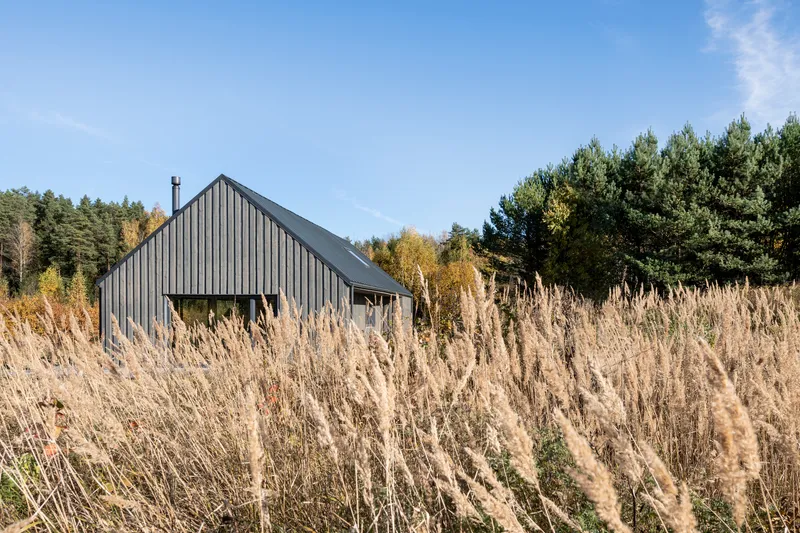 Dark timber-clad barn form rising above golden autumn grasses and evergreen forest backdrop