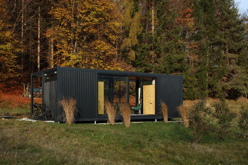 Entry facade with yellow plywood doors open between ornamental grasses in afternoon light