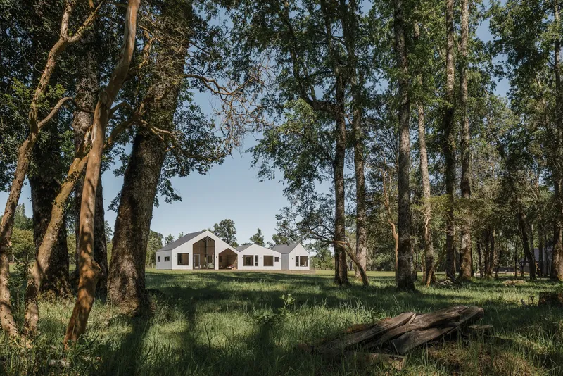 White gabled volumes seen through a grove of tall trees in afternoon light