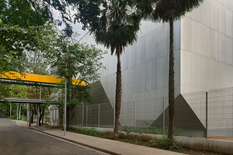 Street view of tall concrete wall with palm trees and mesh fencing bordering planted sidewalk strip