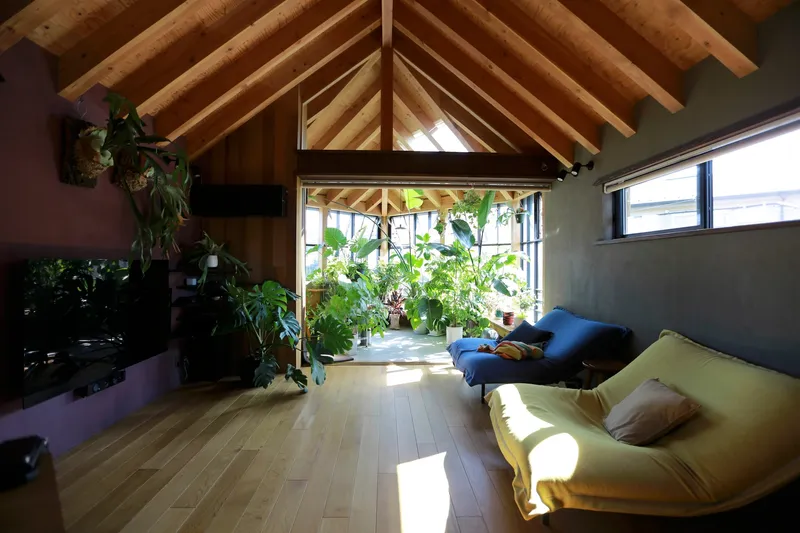 Living space with exposed timber rafters and an enclosed plant-filled sunroom framed by concrete walls and sunlight