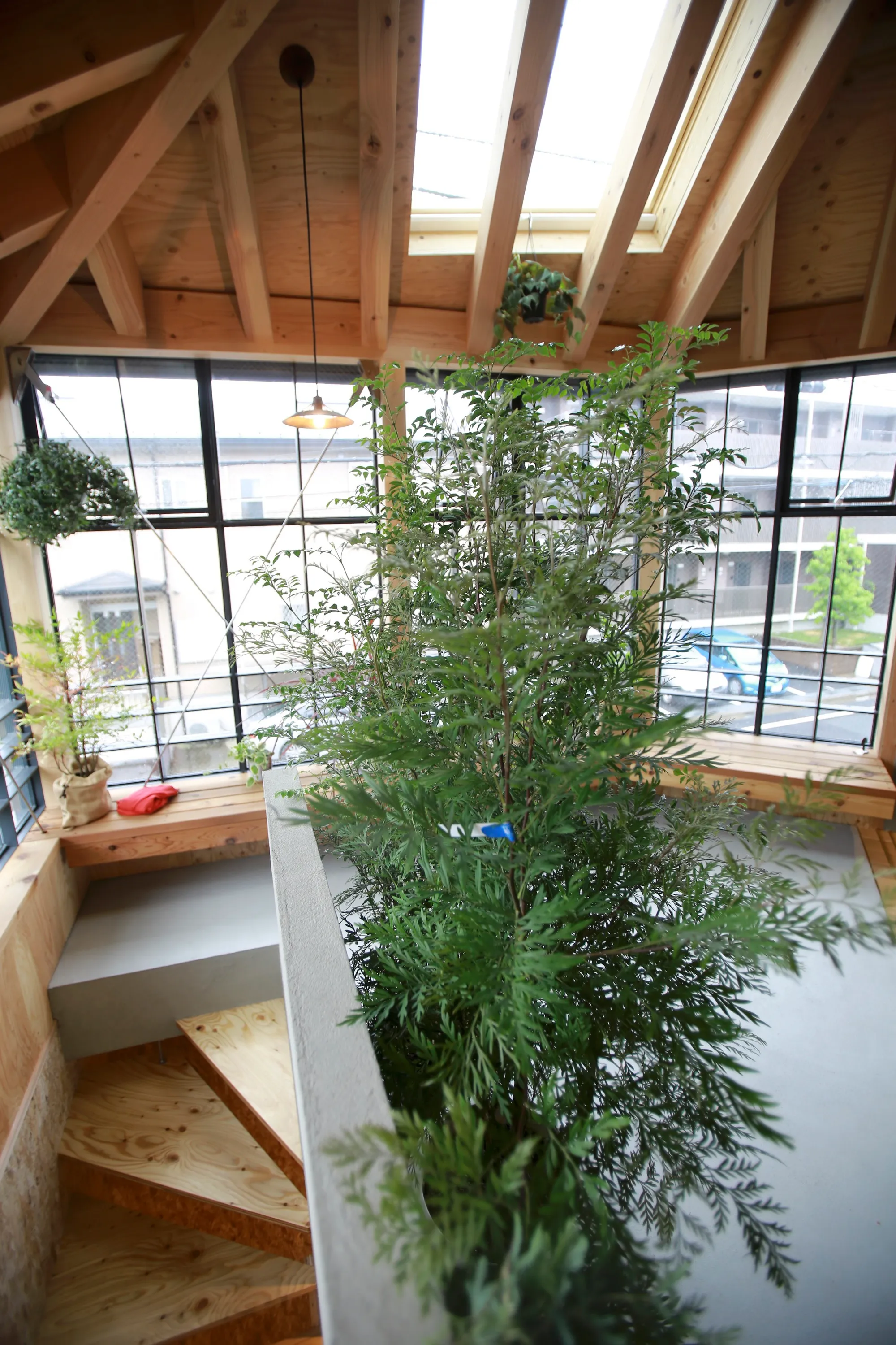 Niko Design Studio Wraps a 51 m² Tokyo Home Around a Greenhouse for Living with Plants