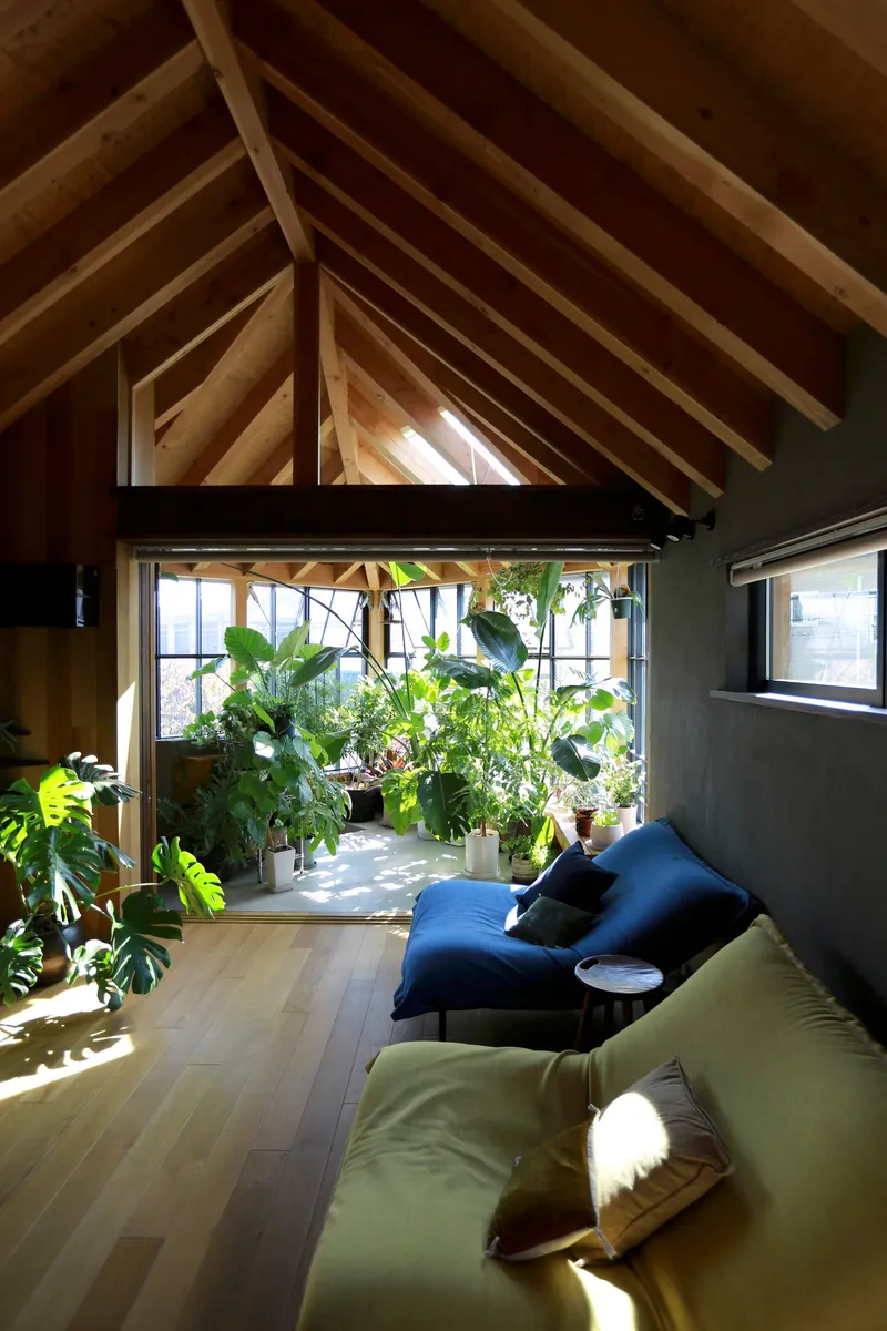 Interior living space beneath exposed timber rafters with gridded window framing potted greenery