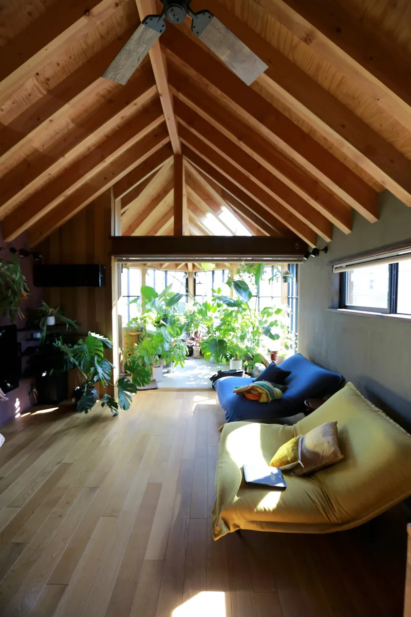 Open living area with gabled timber ceiling and corner window wall filled with plants